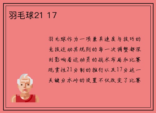 羽毛球21 17