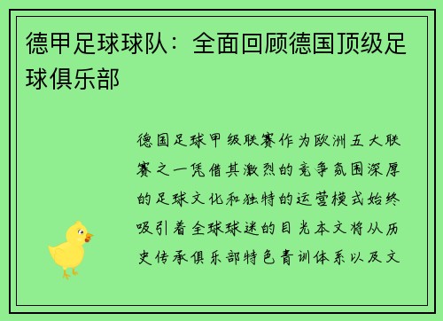 德甲足球球队：全面回顾德国顶级足球俱乐部